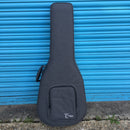 Tanglewood TW40-D-AN-E Dreadnaught Style Electro-Acoustic Inc Hardcase