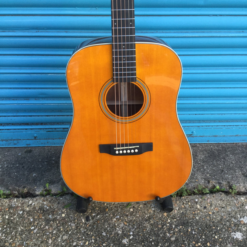 Tanglewood TW40-D-AN-E Dreadnaught Style Electro-Acoustic Inc Hardcase