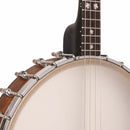 Gold Tone IT-17 Irish Tenor Banjo with 17 Frets and Gig Bag