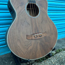 Tanglewood Acoustic Jumbo Bass