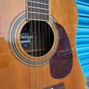 Pre-Loved Vintage V400-12 12 String Acoustic Guitar