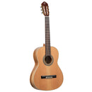 ORTEGA R20GSNRG Traditional Series 4/4 Nylon String Guitar 6-String + Pro Gig Bag
