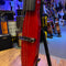 Stagg Electric Double Bass Transparent Red