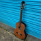 Ortega Performer 4/4 Classical Guitar Solid Cedar Top Inc. Gig Bag