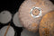 Meinl Dry Ching Ring 6"