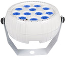 QTX Rechargeable Mini LED PAR Light