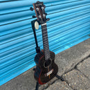 Blackwater YWUK-24PH Concert Ukulele in Ziricote Wood with Gig Bag