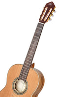 ORTEGA R20GSNRG Traditional Series 4/4 Nylon String Guitar 6-String + Pro Gig Bag