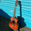 B-Stock James Neligan OLO-N Classical Guitar Inc. Padded Stagg Gig Bag