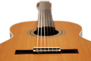 ORTEGA R20GWN Traditional Series 4/4 size Nylon String Guitar 6-String + Pro Gig Bag