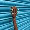 Tanglewood TWT-11 Tiare Concert Ukulele