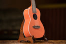 Ortega Earth Series Concert Ukulele Hokkaido Pumpkin Orange RUPUKI