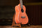 Ortega Earth Series Concert Ukulele Hokkaido Pumpkin Orange RUPUKI