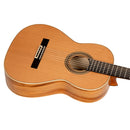 ORTEGA R20GRG Traditional Series 4/4 Nylon String Guitar 6-String + Pro Gig Bag