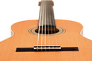 ORTEGA R20GRG Traditional Series 4/4 Nylon String Guitar 6-String + Pro Gig Bag