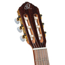 ORTEGA R20GSNWN Traditional Series 4/4 Nylon String Guitar 6-String + Pro Gig Bag