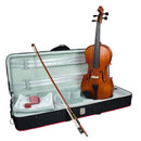 Hidersine Vivente Viola Outfit - 14"