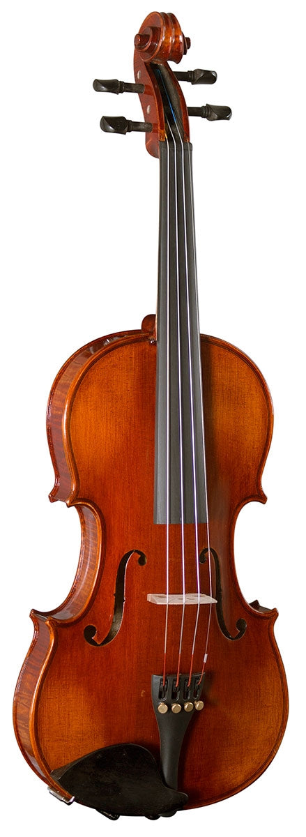 Hidersine Piacenza Violin Outfit with Wittner Finetune Pegs