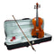 Hidersine Piacenza Viola Outfit - 15.5" Outfit