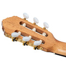 ORTEGA R20GSNRG Traditional Series 4/4 Nylon String Guitar 6-String + Pro Gig Bag