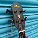 Aria FEB F2/FL M Hollow Body Fretless Medium Scale Electro Acoustic Bass