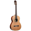 ORTEGA R18SSN Traditional Series 4/4 Nylon String Guitar 6-String - Satin + Pro Gig Bag