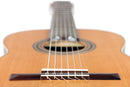 ORTEGA R18G Traditional Series 4/4 Nylon String Guitar 6-String + Pro Gig Bag