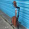 Snail BHC-6C Solid Cedar Concert Ukulele, Inc. Gig Bag