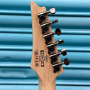 Ibanez RG Series Electric Guitar in Sea Shore Matte RG421S-SEM