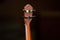 Ortega Bonfire Series Concert Ukulele in Spruce and Sapele Natural Finish RU5