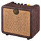 Ortega Amplification Series Portable Bluetooth Acoustic Guitar  Amp