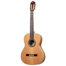 ORTEGA R20GSNRG Traditional Series 4/4 Nylon String Guitar 6-String + Pro Gig Bag