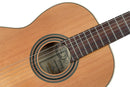 ORTEGA R20GSNRG Traditional Series 4/4 Nylon String Guitar 6-String + Pro Gig Bag
