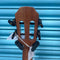 Snail BHC-6C Solid Cedar Concert Ukulele, Inc. Gig Bag