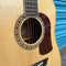 Washburn D10S Heritage 10 Series Dreadnaught Acoustic Guitar