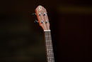 Ortega Bonfire Series Tenor Ukulele Sapele Natural RU5MM-TE