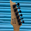 Ibanez GIO RG Series Electric Guitar in Black Flat - GRG121DX-BKF