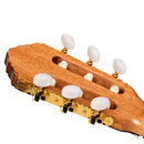 ORTEGA R20GWN Traditional Series 4/4 size Nylon String Guitar 6-String + Pro Gig Bag