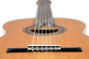 ORTEGA R20GSNRG Traditional Series 4/4 Nylon String Guitar 6-String + Pro Gig Bag