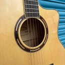 Washburn AG40CE Apprentice Series Grand Auditorium Electro Acoustic Guitar