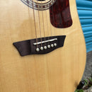 Washburn D10S Heritage 10 Series Dreadnaught Acoustic Guitar