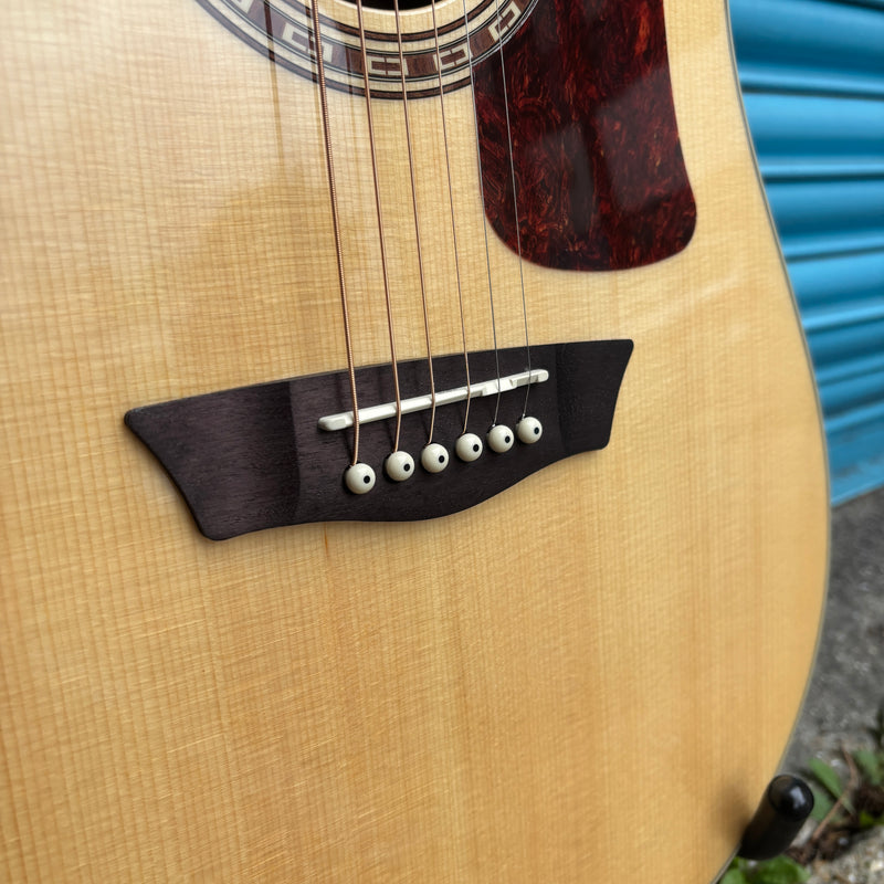 Washburn D10S Heritage 10 Series Dreadnaught Acoustic Guitar