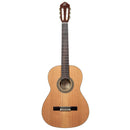 ORTEGA R20GSNRG Traditional Series 4/4 Nylon String Guitar 6-String + Pro Gig Bag