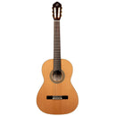 ORTEGA R20GRG Traditional Series 4/4 Nylon String Guitar 6-String + Pro Gig Bag