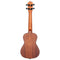 ORTEGA Bonfire Series Concert Ukulele - Natural Finish RU4