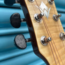 Washburn AG40CE Apprentice Series Grand Auditorium Electro Acoustic Guitar