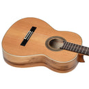 ORTEGA R20GSNRG Traditional Series 4/4 Nylon String Guitar 6-String + Pro Gig Bag