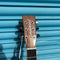 Tanglewood TRX8E Roadster X Electro Acoustic Guitar