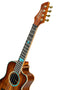 Ortega 30th Anniversary Series Tenor Ukulele RUHZ30TH-ST