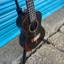 Blackwater YWUK-24PH Concert Ukulele in Ziricote Wood with Gig Bag
